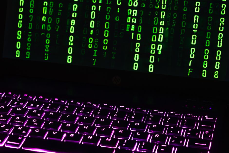 Common File Formats: A Beginner's Guide
