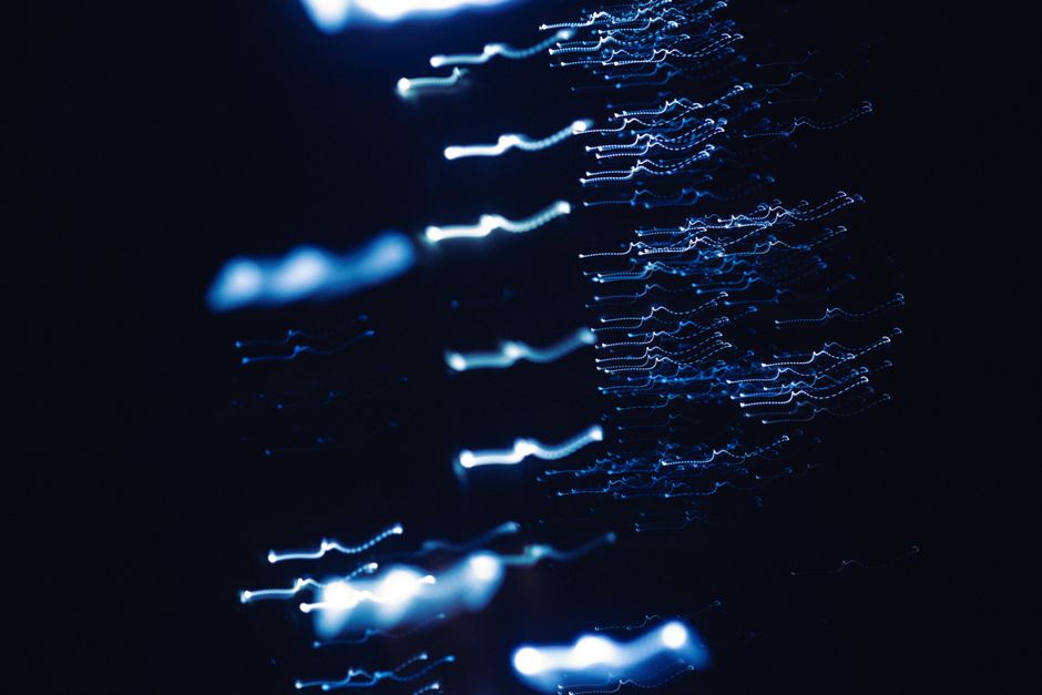 Virtual Private Networks: Myths and Facts